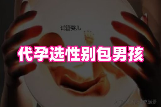 成都助孕网站 2
