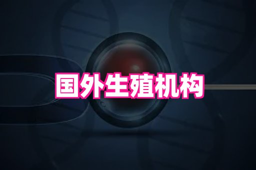 成都助孕网站 3