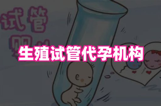 成都助孕网站 4